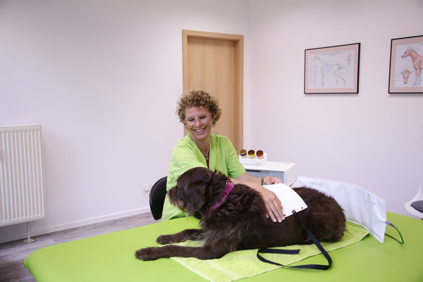Intensivkurs für Physiotherapeuten