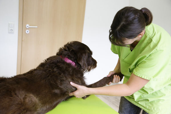 Physiotherapie